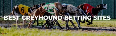 new greyhound betting sites|Best Greyhound Betting Sites ᐉ Top 10 Greyhound Sportsbooks.